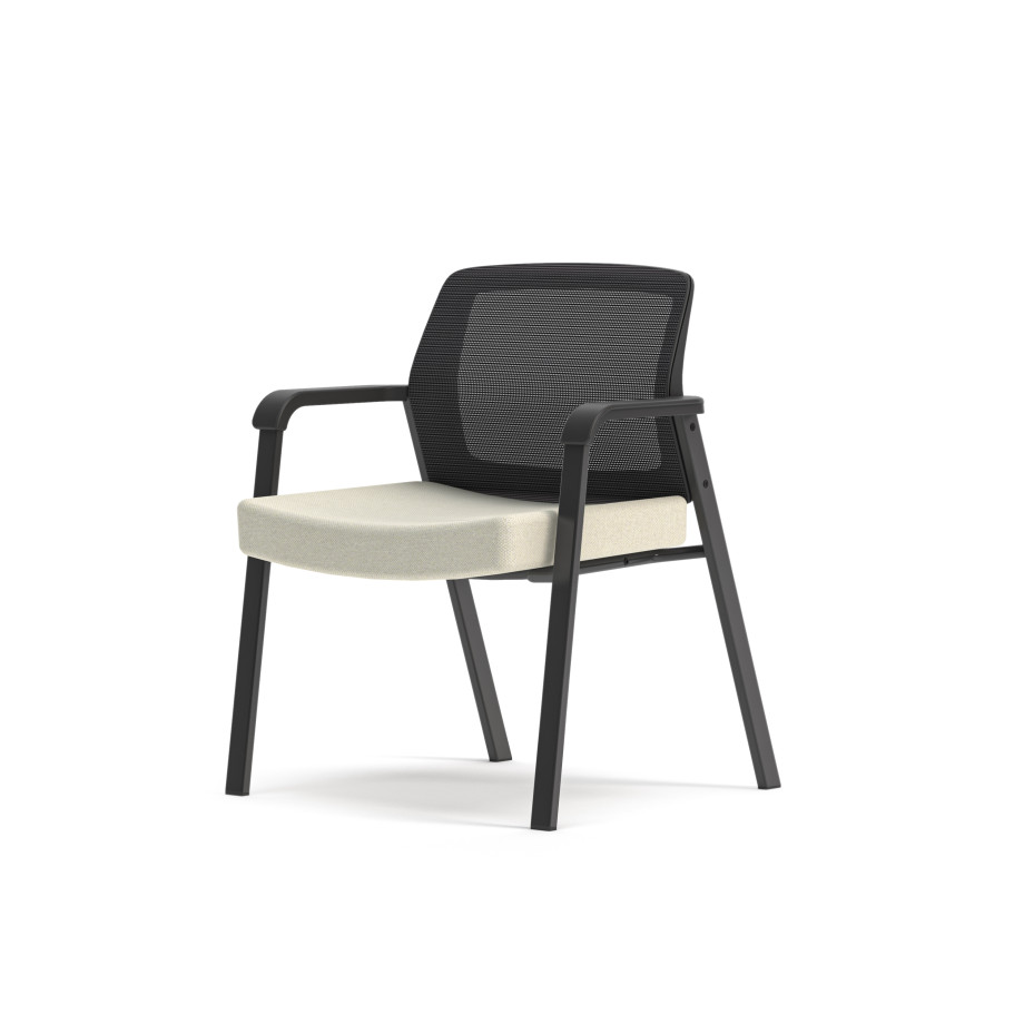 Preview of Paxton XL side chair