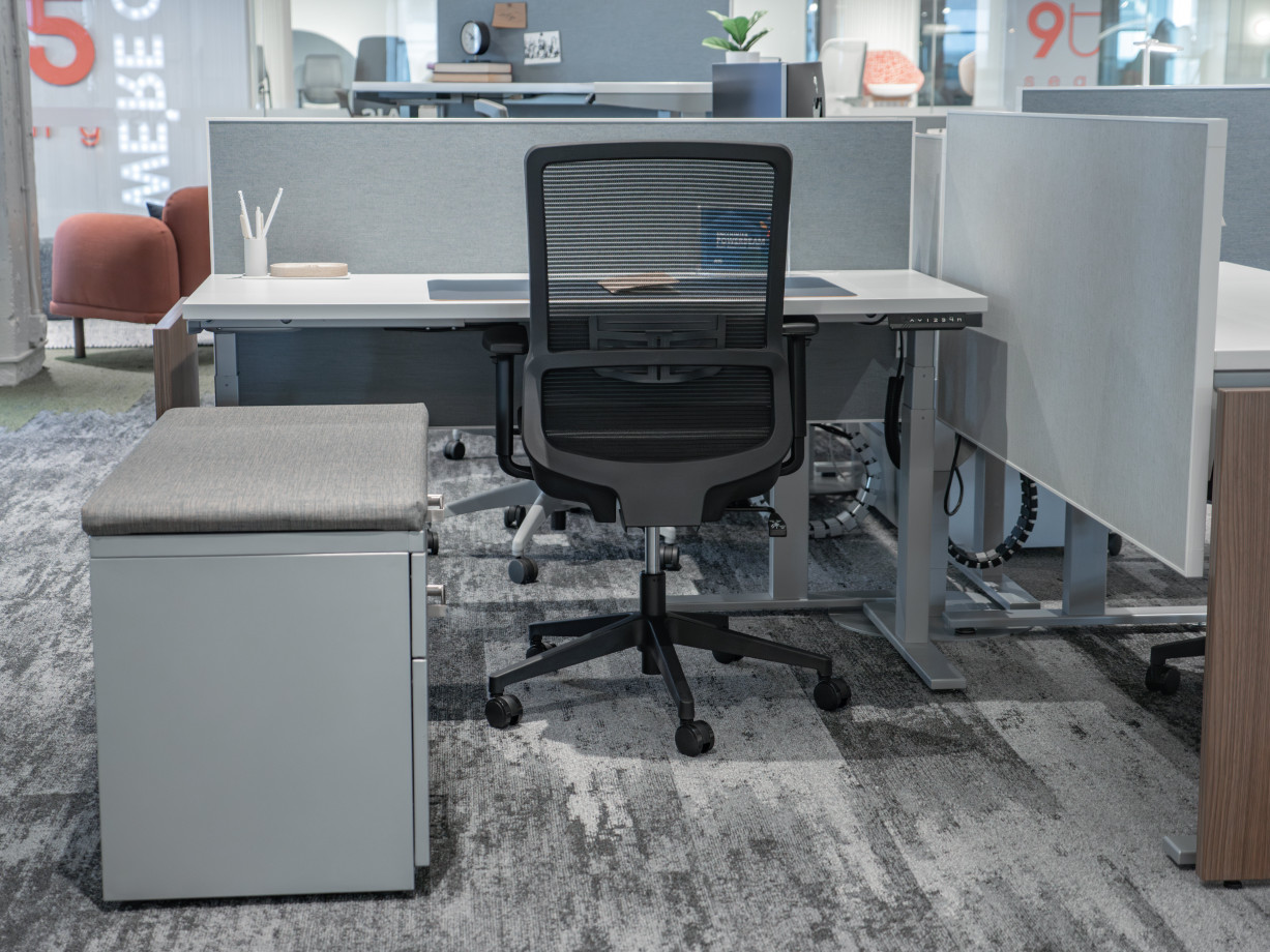 Preview of Essex with Day-to-Day Height Adjustable Table