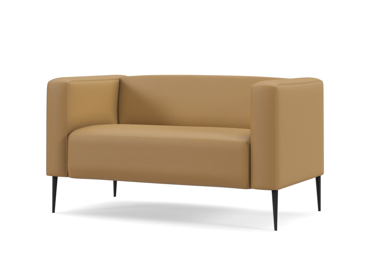 Preview of Chic 2-Seater Lounge