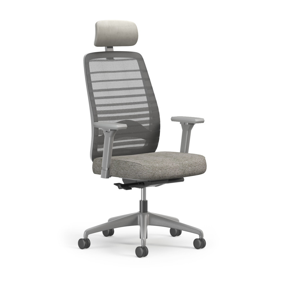 Preview of Bolton Executive, Task Chair, Mesh, 3/4 View, Lumbar