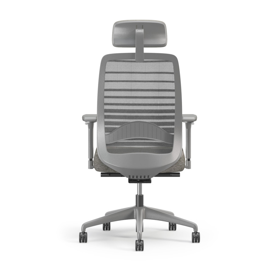 Preview of Bolton Executive, Task Chair, Mesh, Back View, Lumbar