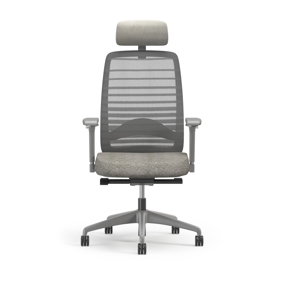 Preview of Bolton Executive, Task Chair, Mesh, Front View, Lumbar