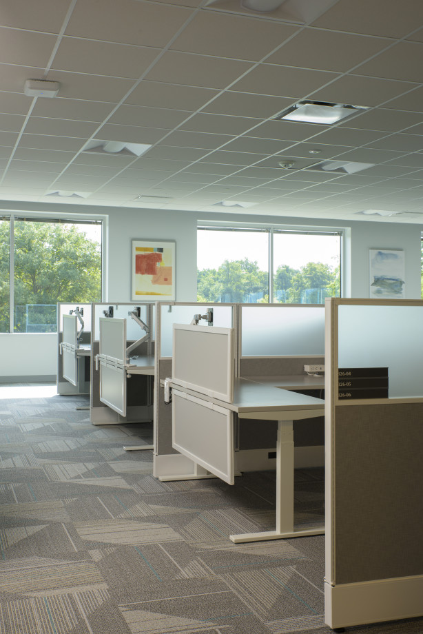 Preview of Client Space with Divid and Upmounted Screens for additional privacy