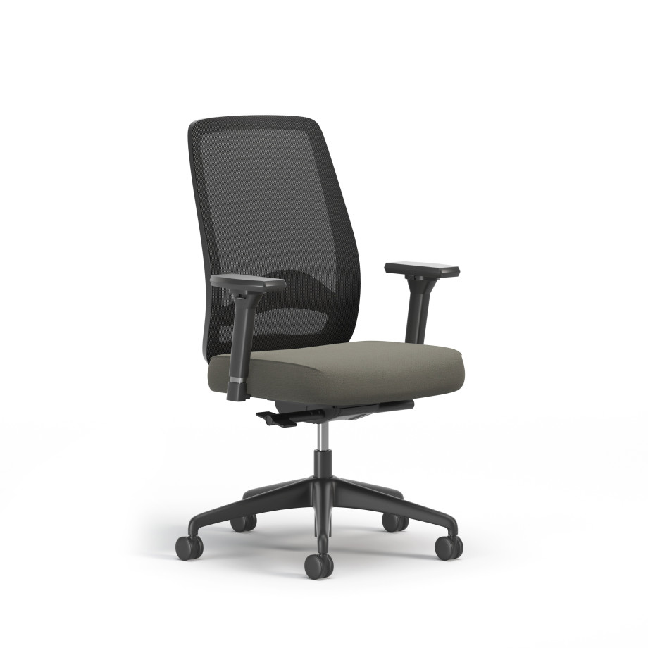 Preview of Bolton, Task Chair, High-Back, Lumbar, 3/4 View