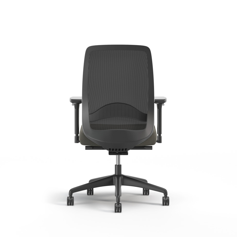 Preview of Bolton, Task Chair, High-Back, Lumbar, Back View