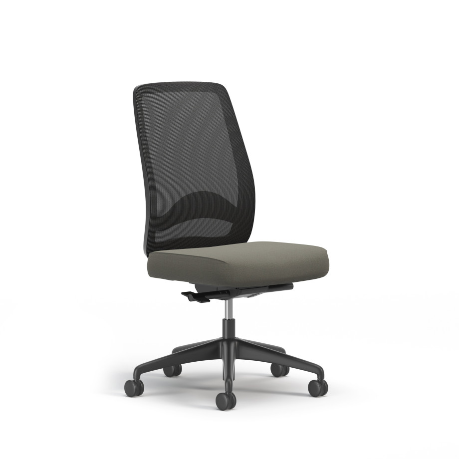 Preview of Bolton, Task Chair, High-Back, Lumbar, No Arms, 3/4 View