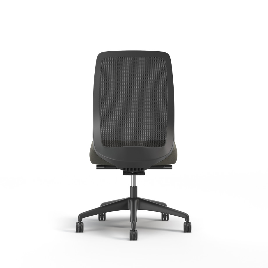 Preview of Bolton, Task Chair, High-Back, Mesh, No Arms, Back View