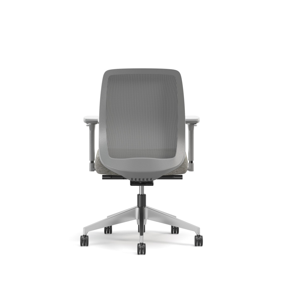 Preview of Bolton, Task Chair, Mid-Back, Mesh, Back View