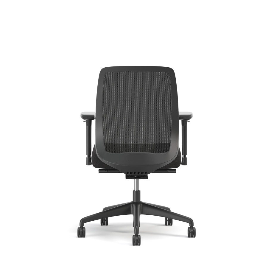 Preview of Bolton, Task Chair, Mid-Back, Mesh, Back View