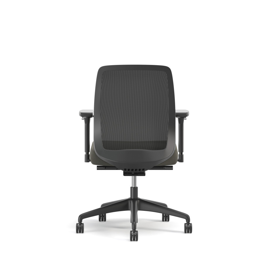 Preview of Bolton, Task Chair, Mid-Back, Mesh, Back View