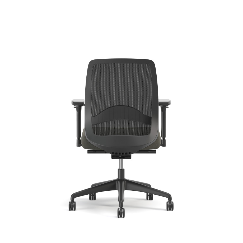 Preview of Bolton, Task Chair, Mid-Back, Mesh, Lumbar, Back View