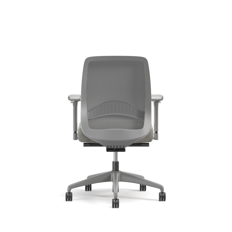 Preview of Bolton, Task Chair, Mid-Back, Mesh, Lumbar, Back View