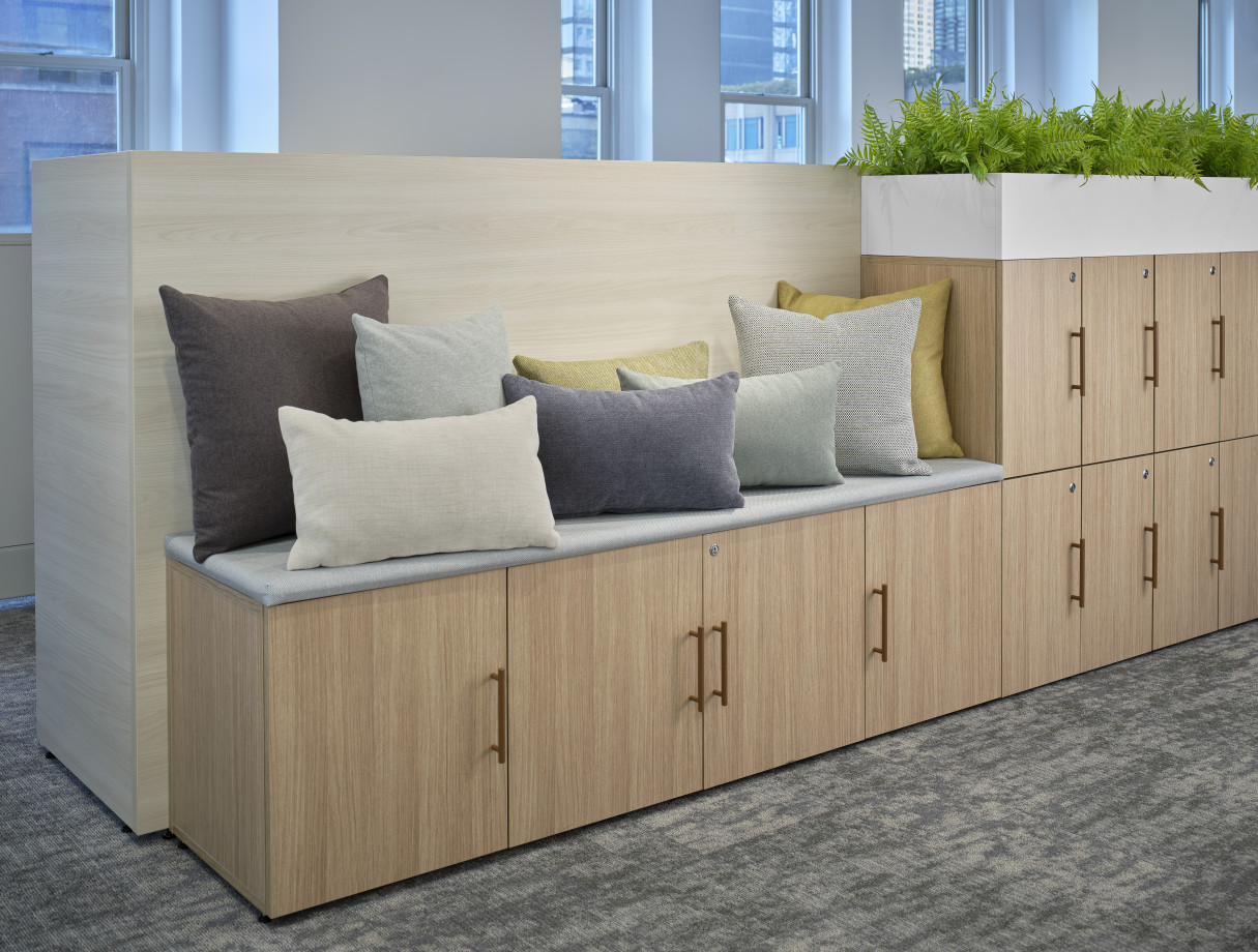 Preview of AIS Pillow Program on Calibrate Storage