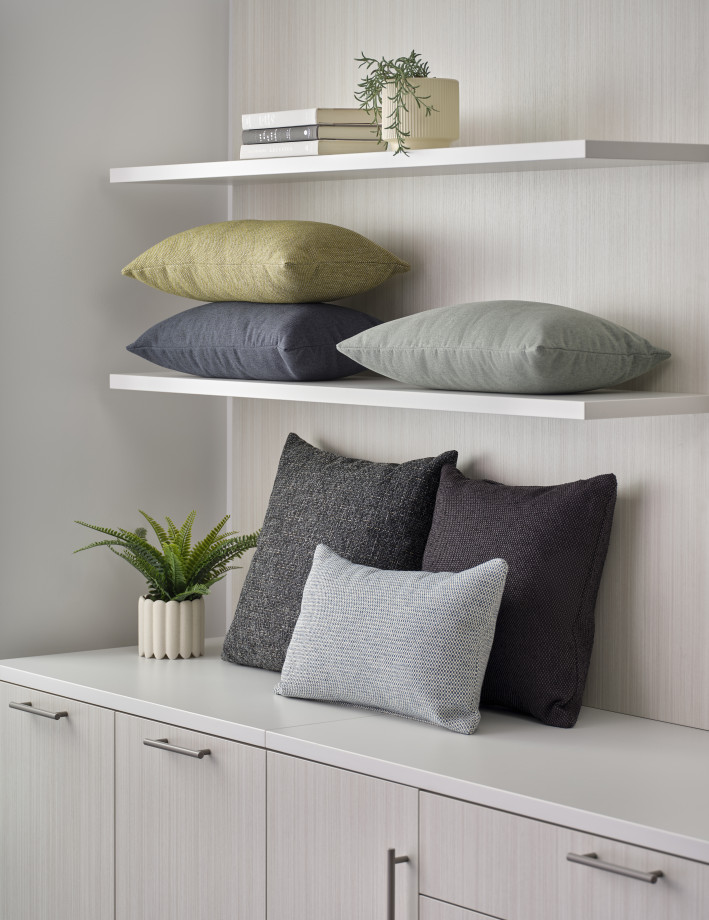 Preview of AIS Pillow Program