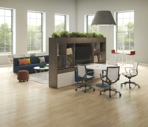 Roya with Day-to-Day collaborative table 