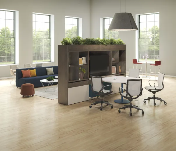 Roya with Day-to-Day collaborative table 