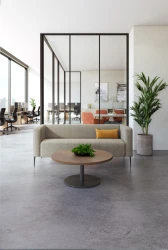 Chic 2-seater, Day-to-Day Occasional Table, Pillow, Disc Base Table​