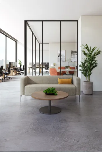 Chic 2-seater, Day-to-Day Occasional Table, Pillow, Disc Base Table​