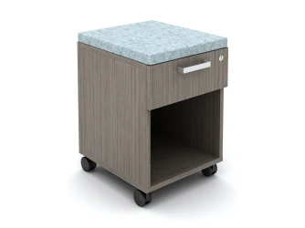 Calibrate Cubby Mobile Ped with cushion