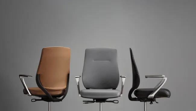 Auburn Grey and Black, back and side view