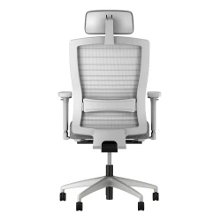 Natick with headrest and lumbar, back view