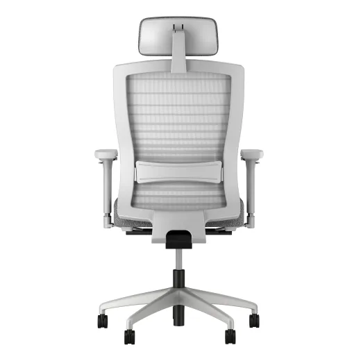 Natick with headrest and lumbar, back view