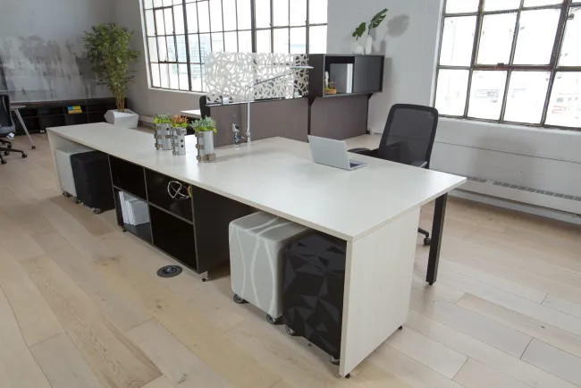 Calibrate Open Office with Divi Spine