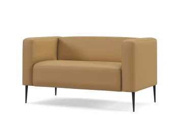 Chic 2-Seater Lounge