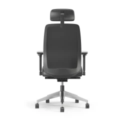 Bolton Executive, Task Chair, Leather, Back View