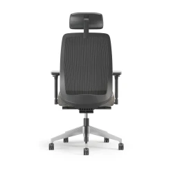 Bolton Executive, Task Chair, Mesh, Back View