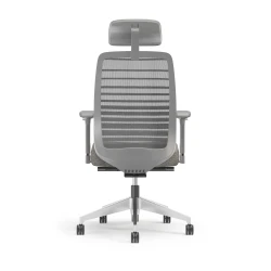 Bolton Executive, Task Chair, Mesh, Back View