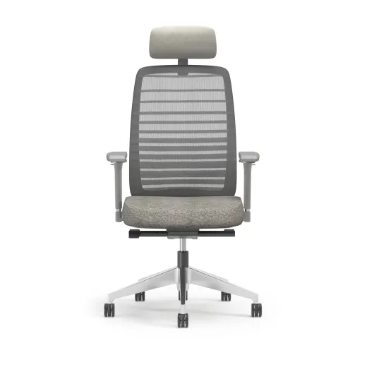 Bolton Executive, Task Chair, Mesh, Front View