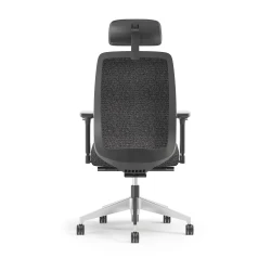 Bolton Executive, Task Chair, Upholstered, Back View