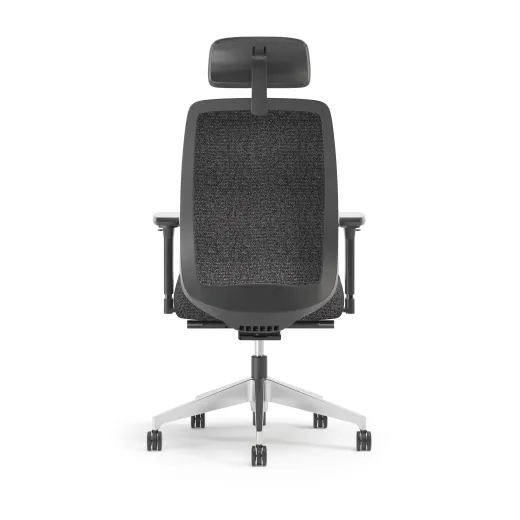 Bolton Executive, Task Chair, Upholstered, Back View