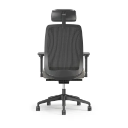 Bolton Executive, Task Chair, Mesh, Back View