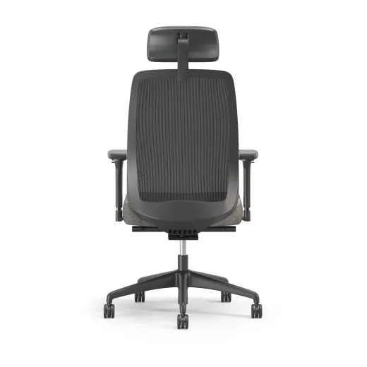 Bolton Executive, Task Chair, Mesh, Back View