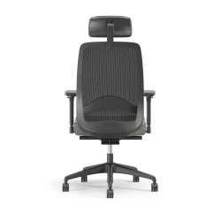 Bolton Executive, Task Chair, Mesh, Lumbar, Back View
