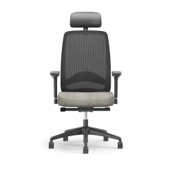 Bolton Executive, Task Chair, Mesh, Lumbar, Front View