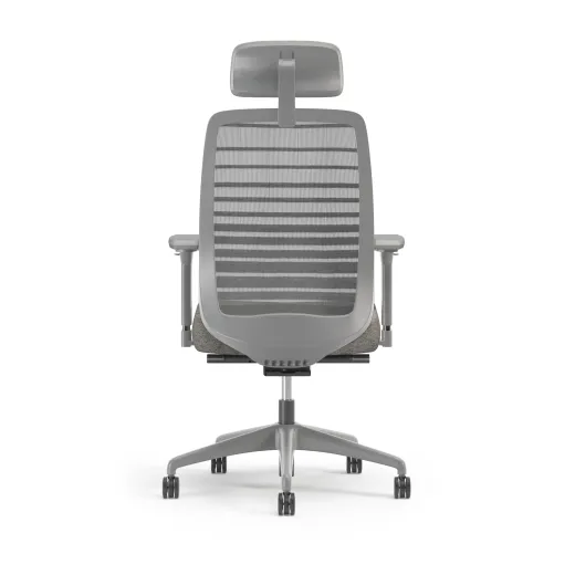 Bolton Executive, Task Chair, Mesh, Back View