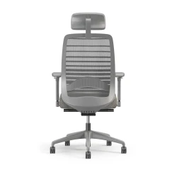Bolton Executive, Task Chair, Mesh, Back View, Lumbar