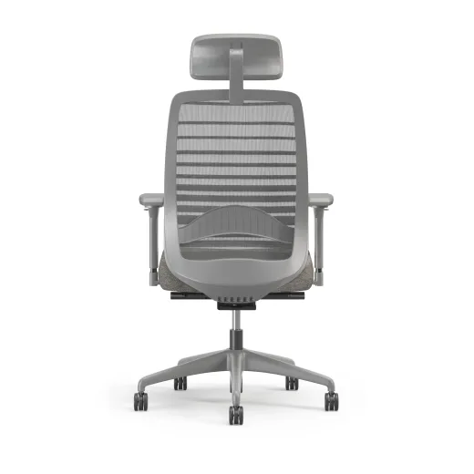 Bolton Executive, Task Chair, Mesh, Back View, Lumbar