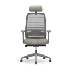 Bolton Executive, Task Chair, Mesh, Front View, Lumbar