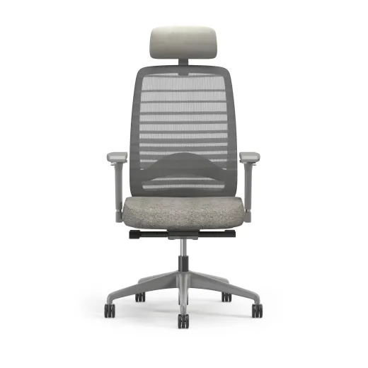 Bolton Executive, Task Chair, Mesh, Front View, Lumbar