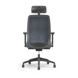 Bolton Executive, Task Chair, Upholstered, Back View
