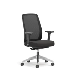 Bolton, High-Back, Task Chair, Mesh, 3/4 View