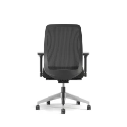 Bolton, High-Back, Task Chair, Mesh, Back View