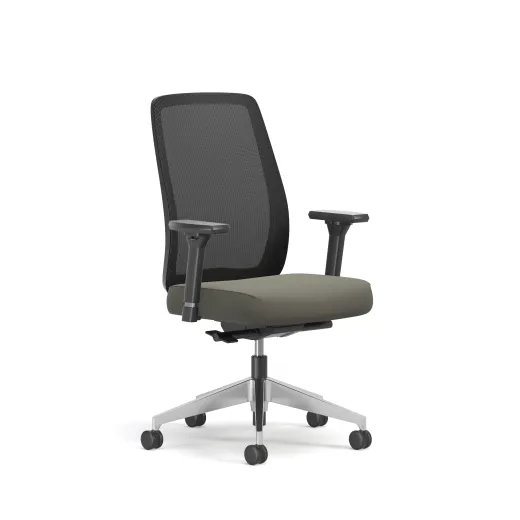 Bolton, High-Back, Task Chair, Mesh, 3/4 View
