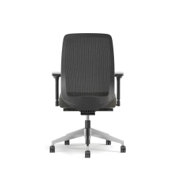 Bolton, High-Back, Task Chair, Mesh, Back View