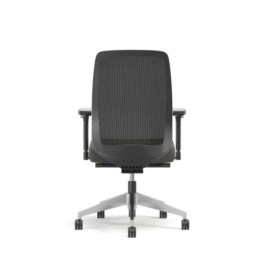 Bolton, High-Back, Task Chair, Mesh, Back View