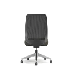 Bolton, High-Back, Task Chair, Mesh, No Arms, Back View